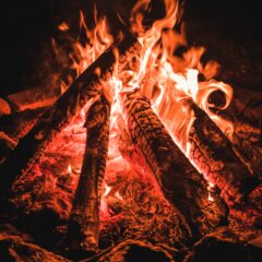 薪に火を焚べろ