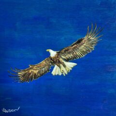 CAFEでの展示販売　無事終了しました